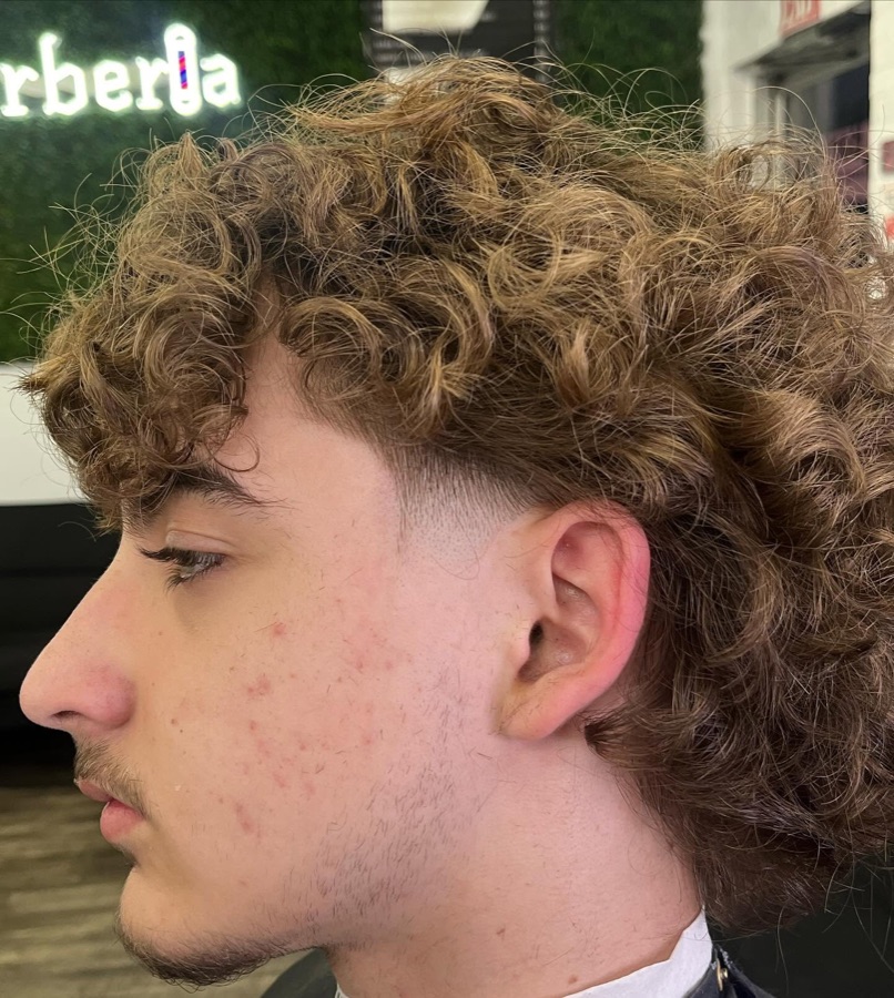 Curly top over a tapered fade, La Barberia